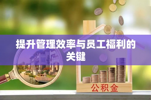 临西提升管理效率与员工福利的关键