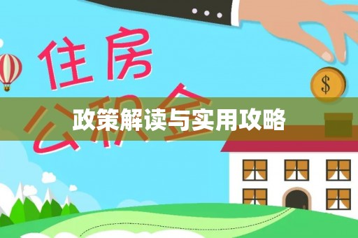 临西政策解读与实用攻略