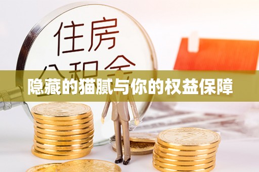 临西隐藏的猫腻与你的权益保障