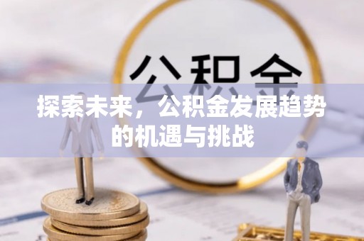 临西探索未来，公积金发展趋势的机遇与挑战