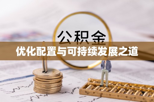 临西优化配置与可持续发展之道