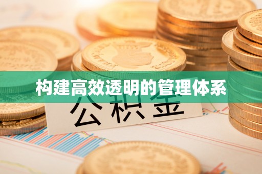 临西构建高效透明的管理体系