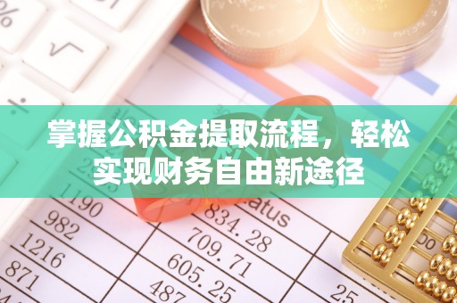 临西掌握公积金提取流程，轻松实现财务自由新途径