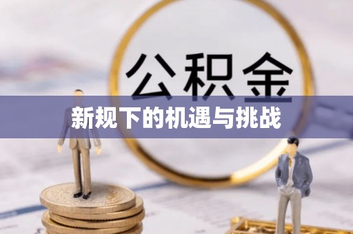 临西新规下的机遇与挑战