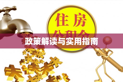 临西政策解读与实用指南