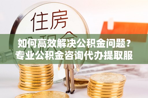 临西如何高效解决公积金问题？专业公积金咨询代办提取服务来帮你