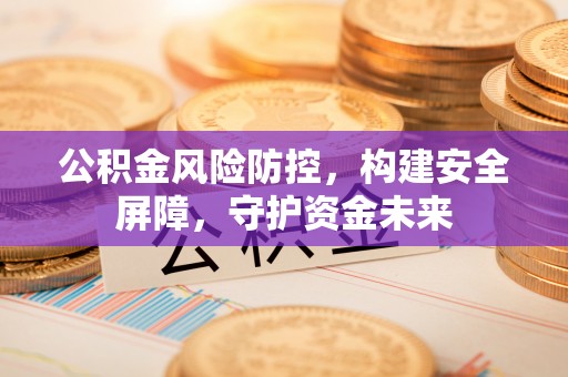 临西公积金风险防控，构建安全屏障，守护资金未来