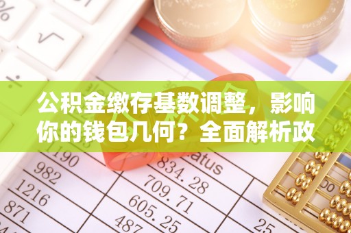 临西公积金缴存基数调整，影响你的钱包几何？全面解析政策与实际收益