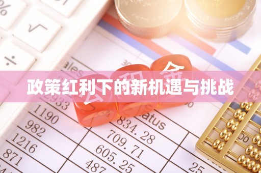 临西政策红利下的新机遇与挑战