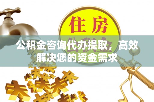 临西公积金咨询代办提取，高效解决您的资金需求