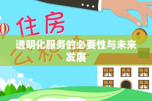 临西透明化服务的必要性与未来发展