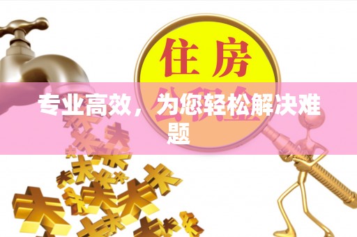 临西专业高效，为您轻松解决难题