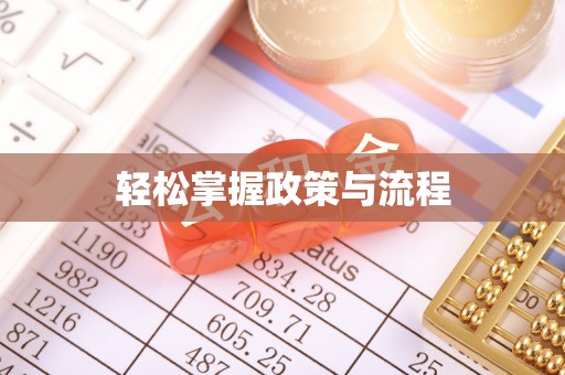 临西轻松掌握政策与流程