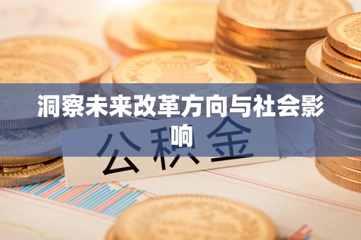 临西洞察未来改革方向与社会影响