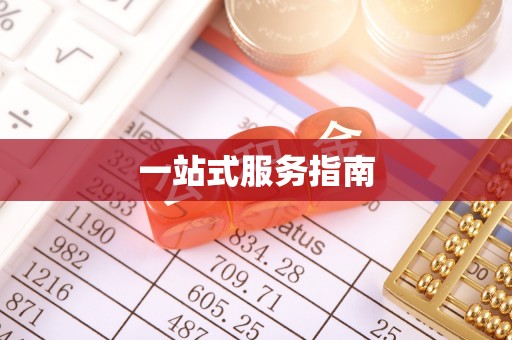 临西一站式服务指南