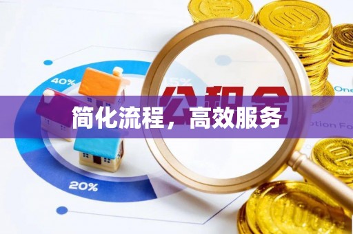 临西简化流程，高效服务