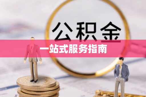 临西一站式服务指南