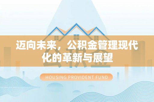 临西迈向未来，公积金管理现代化的革新与展望