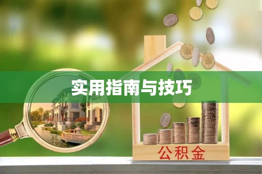 临西实用指南与技巧