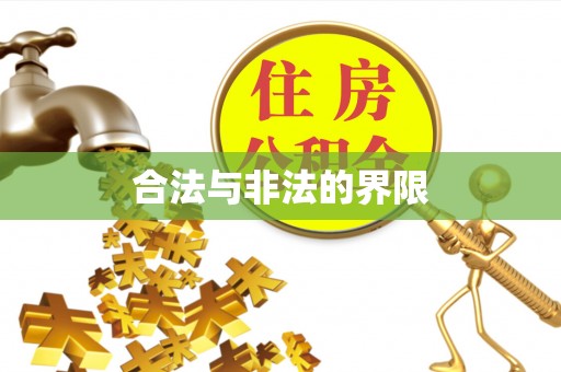临西合法与非法的界限