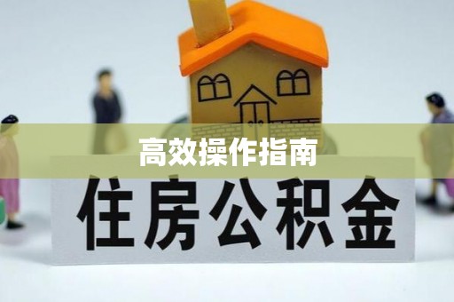 临西高效操作指南