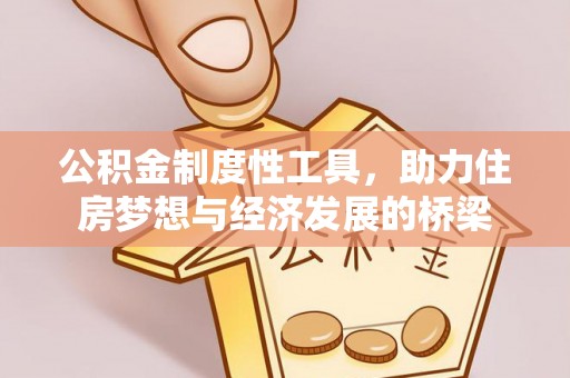 临西公积金制度性工具，助力住房梦想与经济发展的桥梁