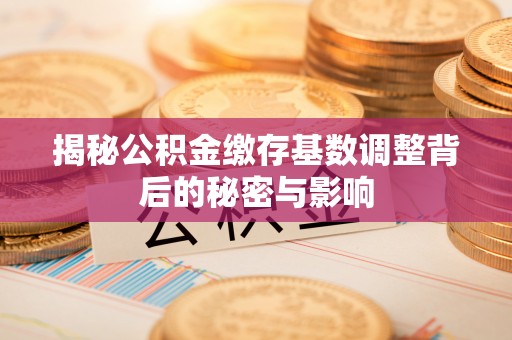 临西揭秘公积金缴存基数调整背后的秘密与影响