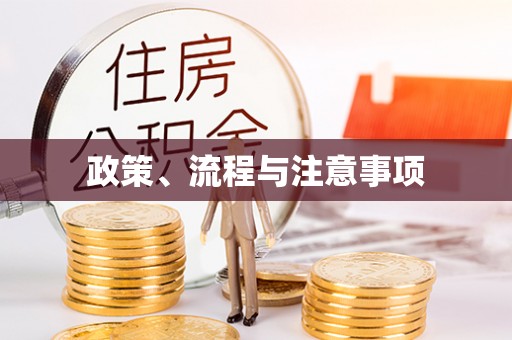 临西政策、流程与注意事项