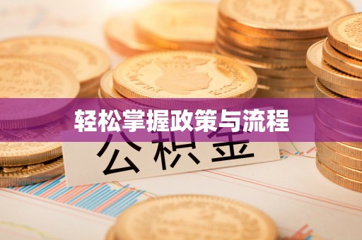 临西轻松掌握政策与流程
