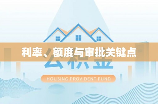 临西利率、额度与审批关键点