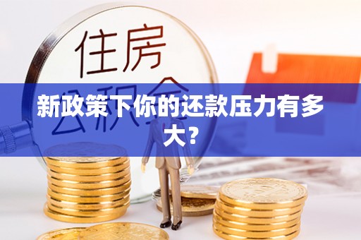 临西新政策下你的还款压力有多大？