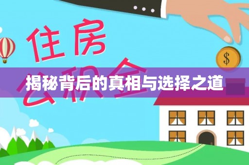 临西揭秘背后的真相与选择之道