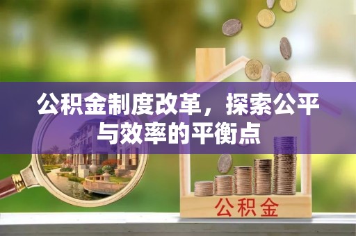 临西公积金制度改革，探索公平与效率的平衡点