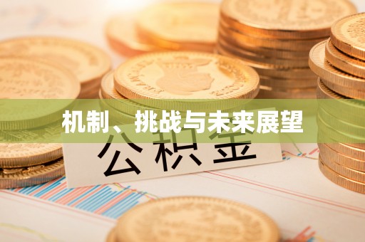 临西机制、挑战与未来展望